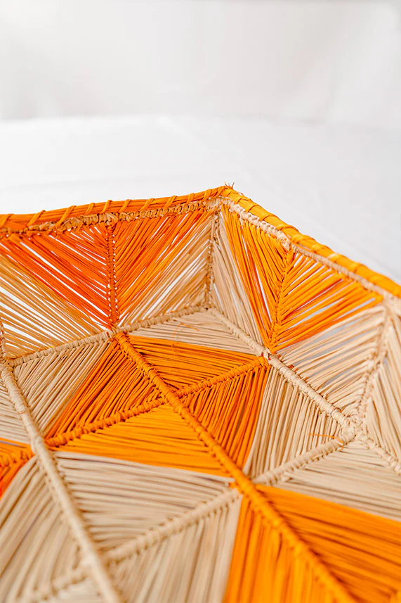 Bandeja Gregory - Imagen 9